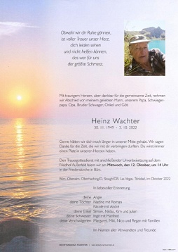 Heinz Wachter